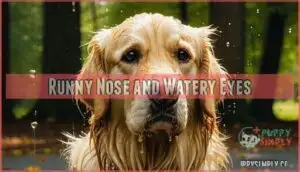 runny nose and watery eyes