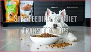 safe feeding and diet transition tips