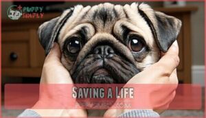saving a life