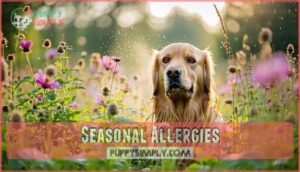 seasonal allergies