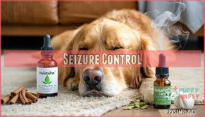 seizure control