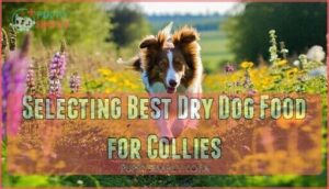 selecting best dry dog food for collies