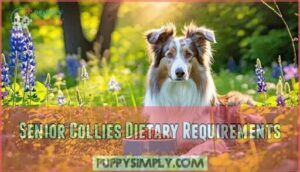 senior collies dietary requirements
