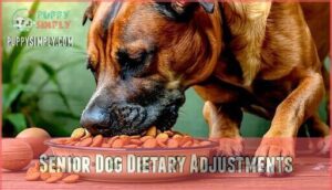 senior dog dietary adjustments