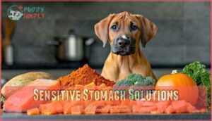 sensitive stomach solutions