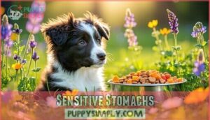 sensitive stomachs