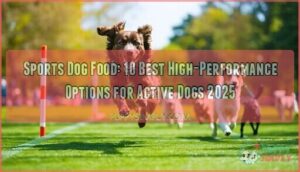 sports dog food