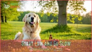 start low and go slow