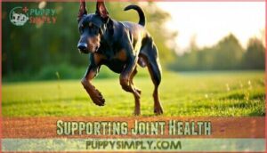 supporting joint health