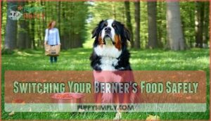 switching your berner's food safely
