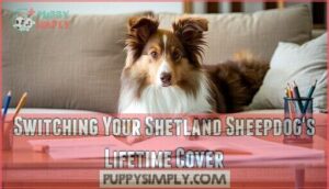 switching your shetland sheepdog's lifetime cover
