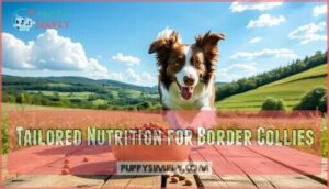 tailored nutrition for border collies