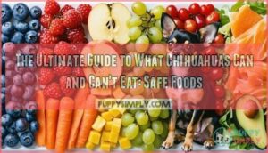 the ultimate guide to what chihuahuas can and cant eat