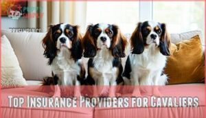 top insurance providers for cavaliers