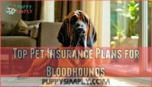 top pet insurance plans for bloodhounds