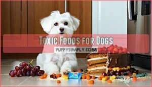 toxic foods for dogs