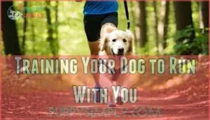 training your dog to run with you