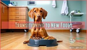 transitioning to new foods
