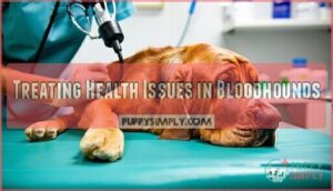 treating health issues in bloodhounds