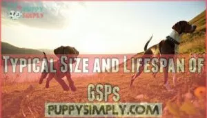 typical size and lifespan of gsps