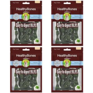 UrbanX HealthyBones Original Natural Dog B0BC1Z7ZK9