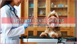 veterinary dental services