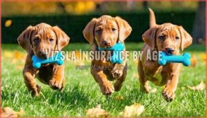 vizsla insurance by age
