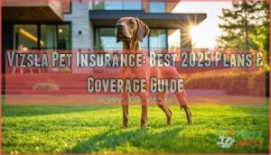 vizsla pet insurance