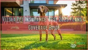 vizsla pet insurance