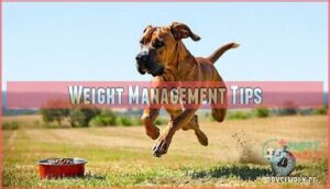 weight management tips