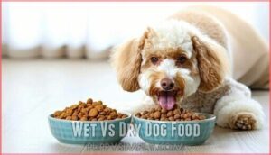 wet vs dry dog food