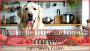 what are the benefits of homemade dog food