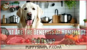 what are the benefits of homemade dog food