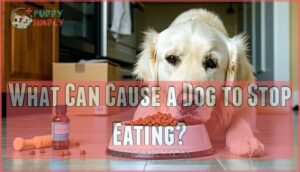 what can cause a dog to stop eating