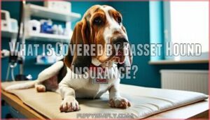 what is covered by basset hound insurance