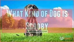 what kind of dog is scooby