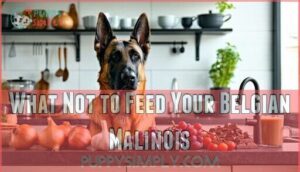 what not to feed your belgian malinois