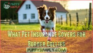 what pet insurance covers for border collies