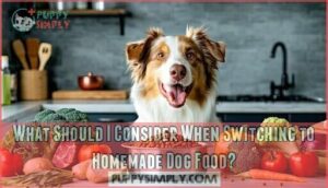 what should i consider when switching to homemade dog food