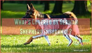what's covered by german shepherd insurance