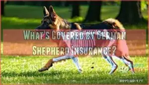 what's covered by german shepherd insurance