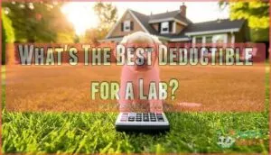 what's the best deductible for a lab