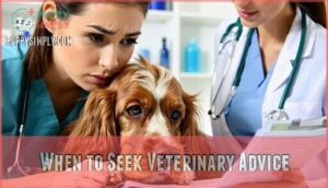 when to seek veterinary advice