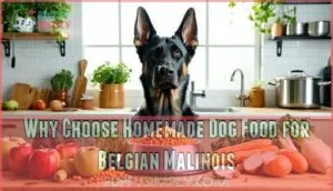 why choose homemade dog food for belgian malinois