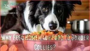 why feed homemade food to border collies
