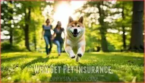 why get pet insurance why get pet insurance