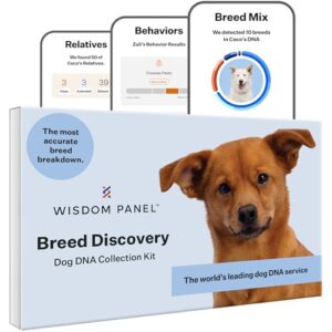 Wisdom Panel Breed Discovery Dog B01EHX2BH0