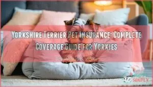 yorkshire terrier pet insurance