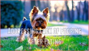 addressing lack of pooping after eating