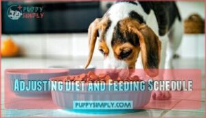 adjusting diet and feeding schedule